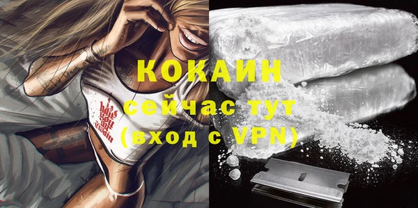 скорость Вяземский