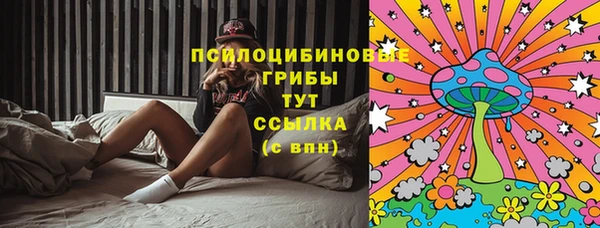 круглые Вязьма