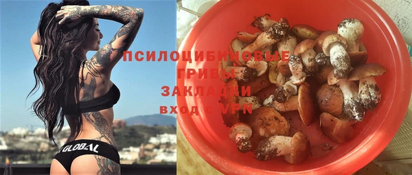 скорость Вяземский