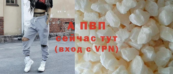 скорость Вяземский