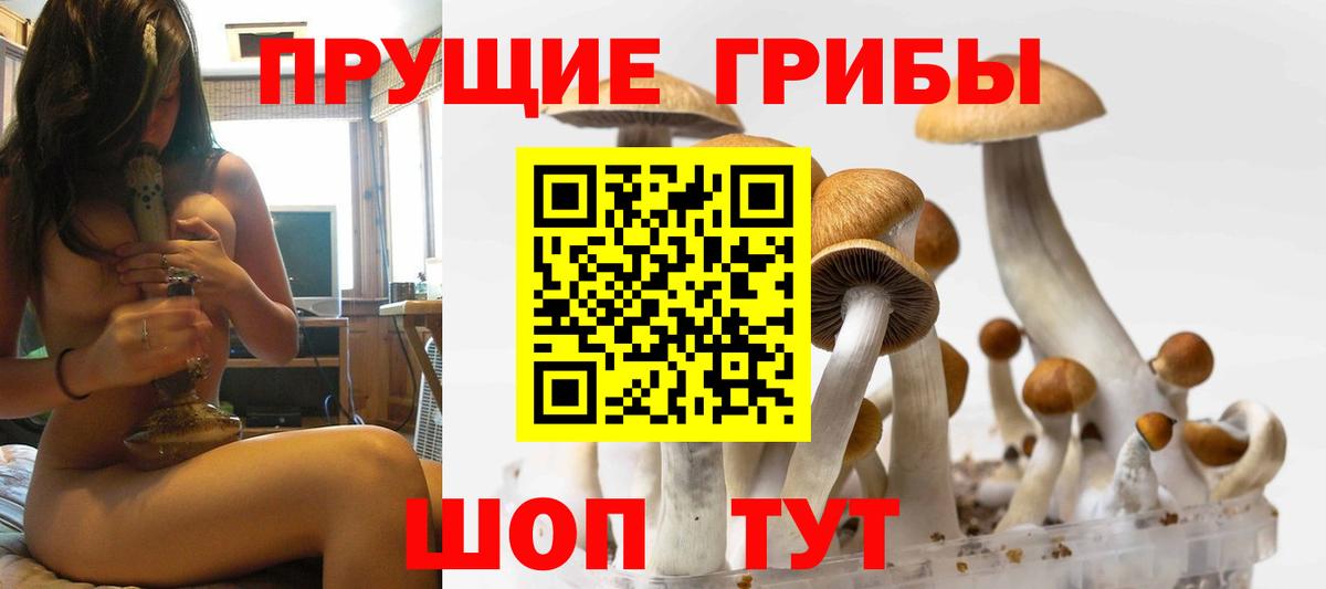 Елец  Галлюциногенные грибы мицелий  Вход с VPN 